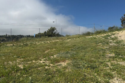 bc25fa81a4311b30b162d7aa4dd69cad - 12