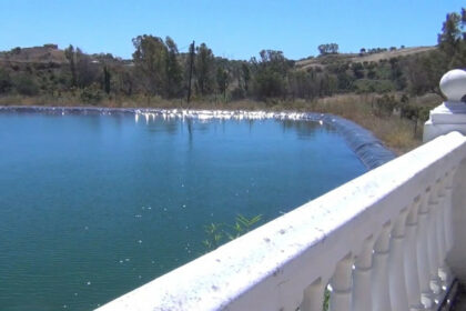 be8a8b10cff3a09708d0038cb23dff01 - 2