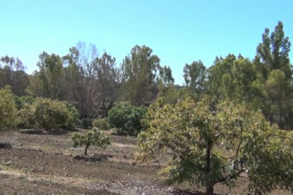 be8a8b10cff3a09708d0038cb23dff01 - 22