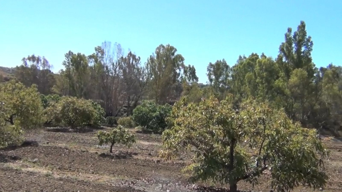 be8a8b10cff3a09708d0038cb23dff01 - 22