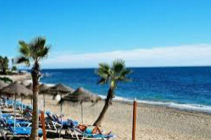 bf0d6e65c44e1dca1d1a01ac28c3e43f - 51