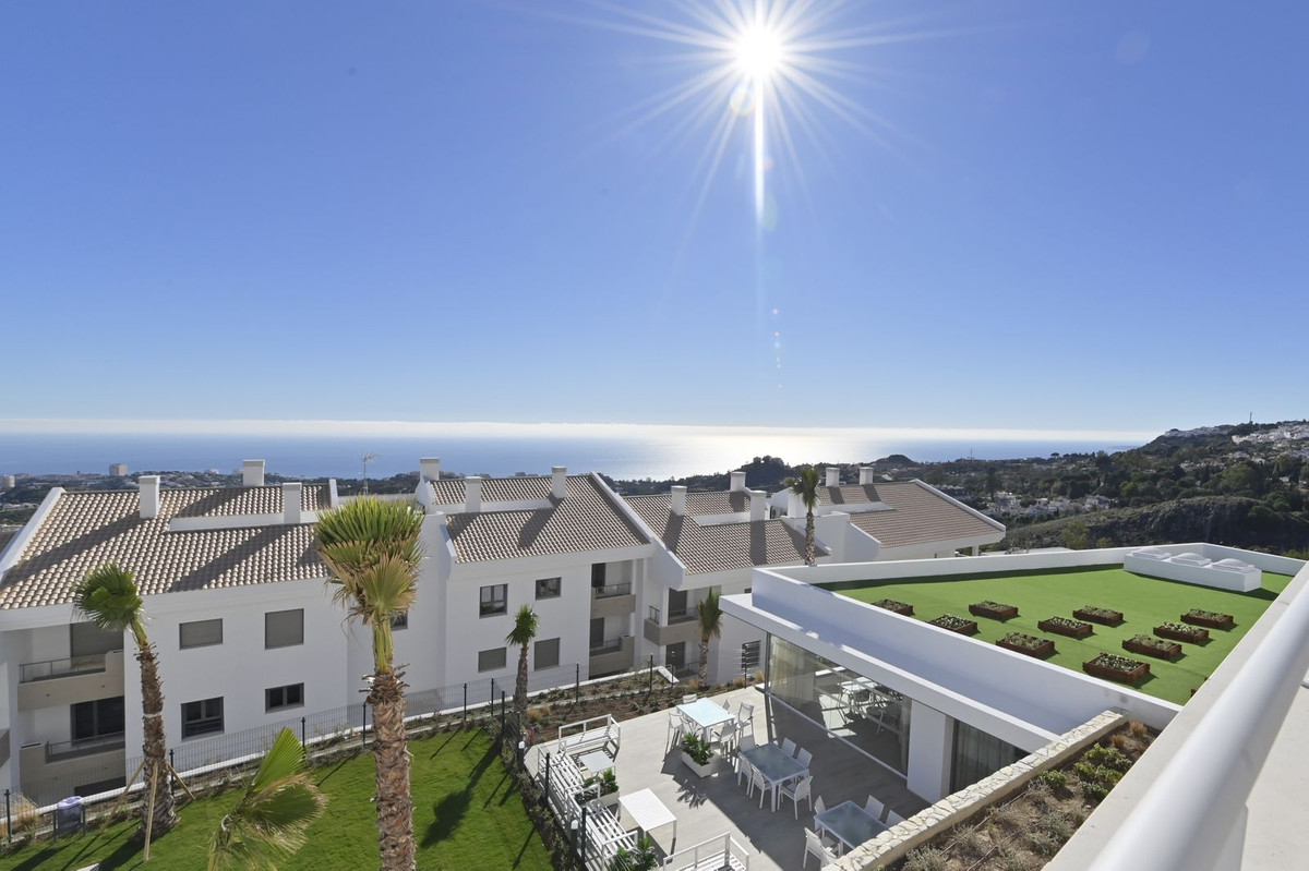 c2c64d3ab155a9b91f0143859b2099ca - 23