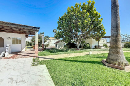 c3f06d423b6459e1f8ba0feb6cec10bc - 12