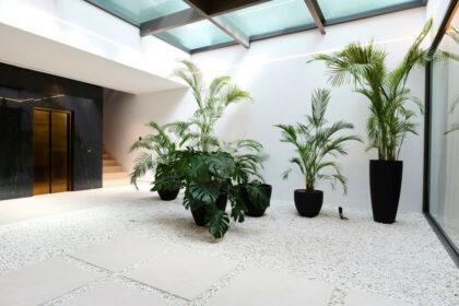 c75bf2daf01834a087faea405a8736dd - 28