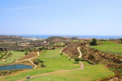 ca40293524312571a73a25a179568d54 - 24