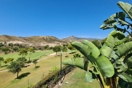 cd36c9c626f4ac28857b11ce70ecd265 - 13