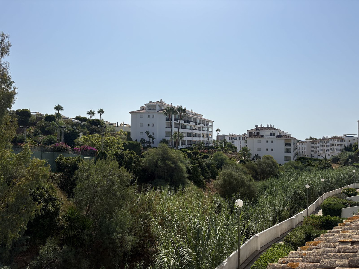 cd431d009a9addd6e364937b75be882f - 12