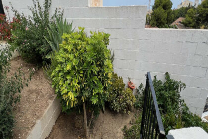 cd5f1d71492f88582f323cb01ce55b67 - 24