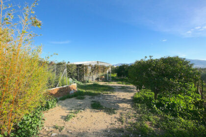 d1eb5e8bdf2c1aaac7c76b5e1336ac14 - 44