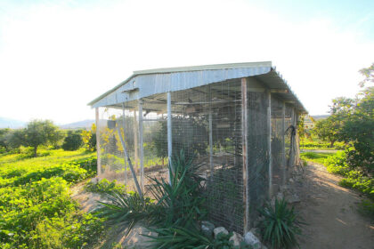 d1eb5e8bdf2c1aaac7c76b5e1336ac14 - 45