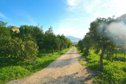 d1eb5e8bdf2c1aaac7c76b5e1336ac14 - 47