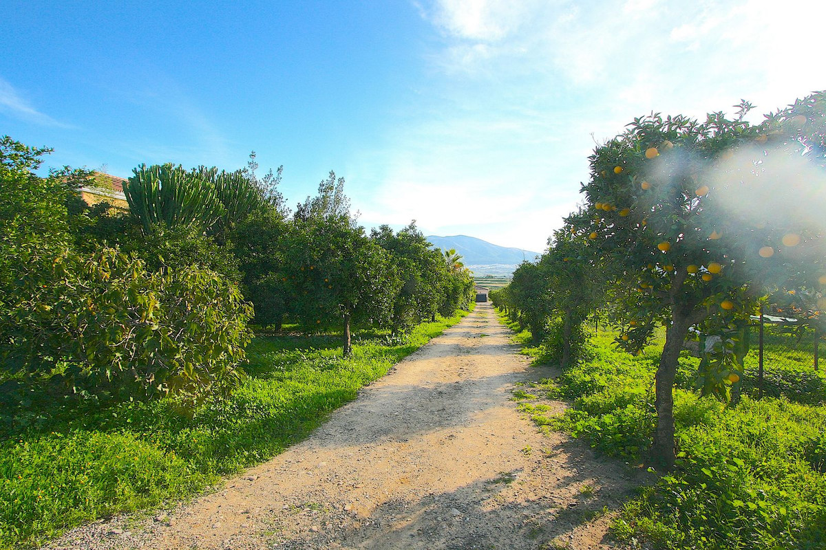 d1eb5e8bdf2c1aaac7c76b5e1336ac14 - 47