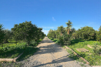 d1eb5e8bdf2c1aaac7c76b5e1336ac14 - 48