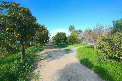 d1eb5e8bdf2c1aaac7c76b5e1336ac14 - 49