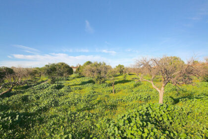 d1eb5e8bdf2c1aaac7c76b5e1336ac14 - 50