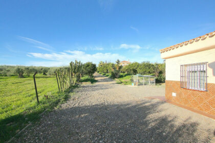 d1eb5e8bdf2c1aaac7c76b5e1336ac14 - 51