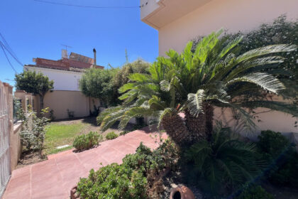 d20dd602bb1e1c1eaabc92691ce6a3ec - 24