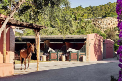 d2479121a65a8b7610a20ee9b34466b4 - 21