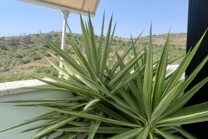 d2ac2bbbf569f1c13f252bee95982ce5 - 3