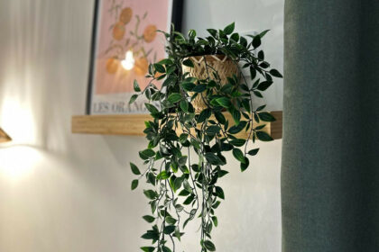 d4632df3994df5eb1ef93408d053a28c - 20