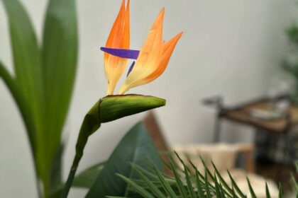 d4632df3994df5eb1ef93408d053a28c - 35