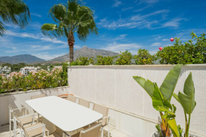 d478f42e667796d5dce125007c4c1ae6 - 41