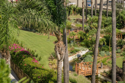 d478f42e667796d5dce125007c4c1ae6 - 44