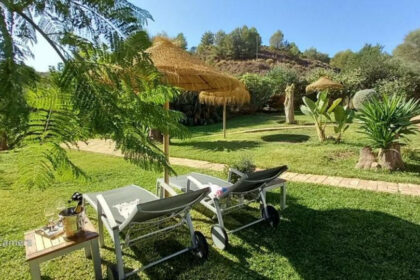 d525542759ef330fbc411e88366be0ea - 2