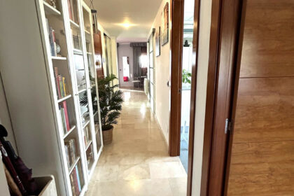 d66ee97874d341c76ca5719482e77eef - 32