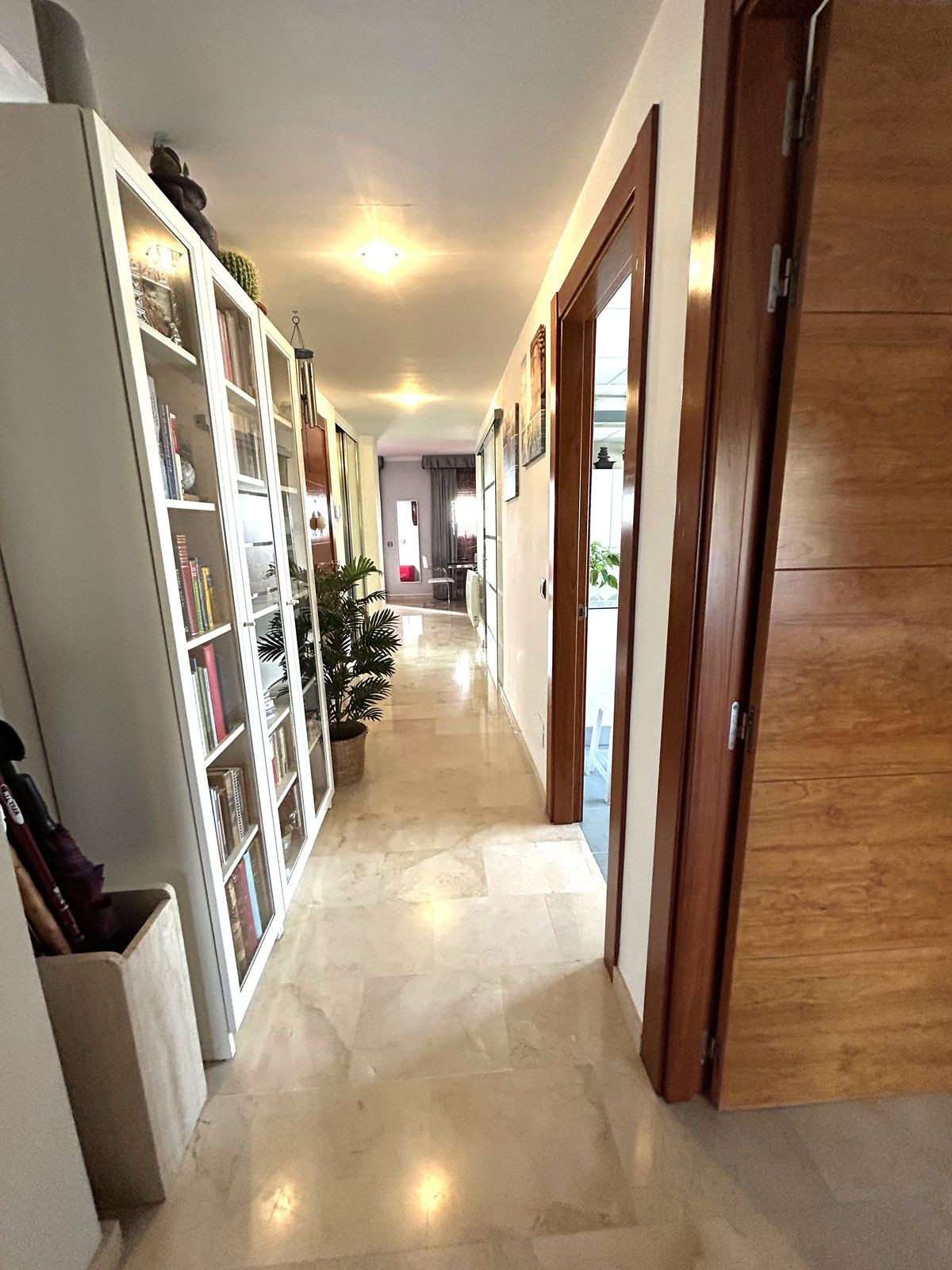 d66ee97874d341c76ca5719482e77eef - 32