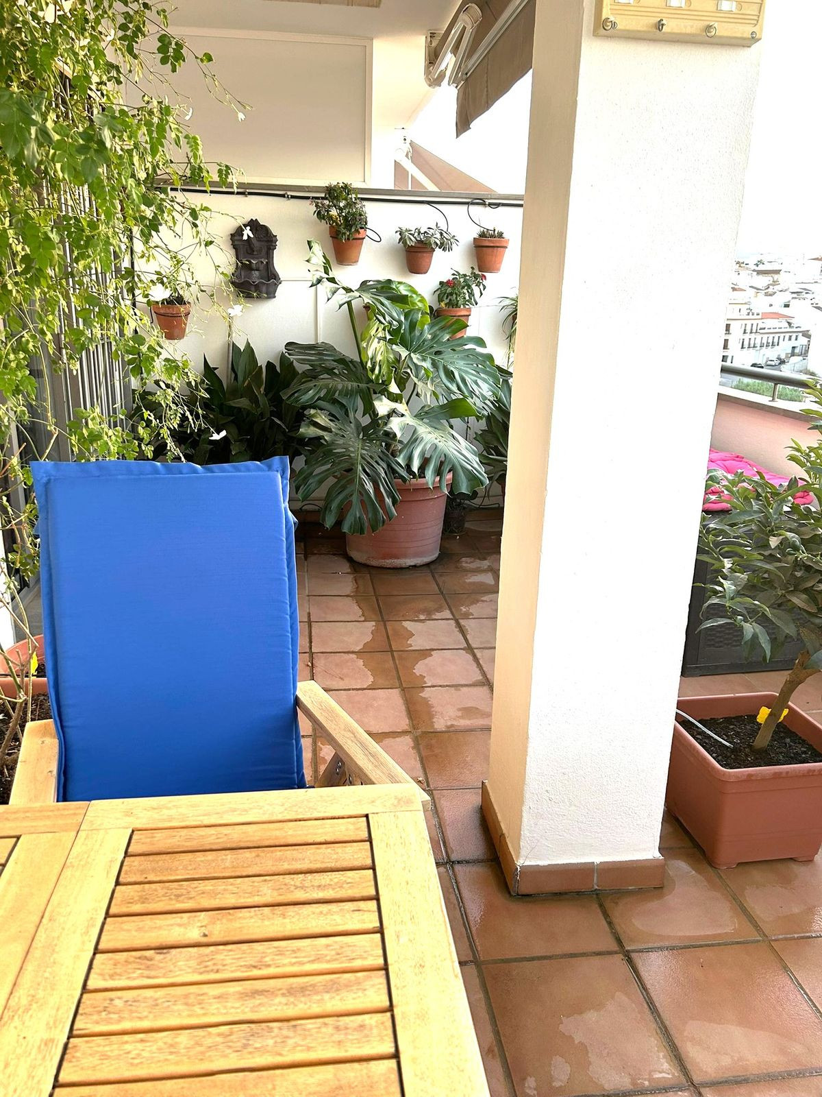 d66ee97874d341c76ca5719482e77eef - 35