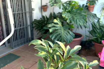 d66ee97874d341c76ca5719482e77eef - 36