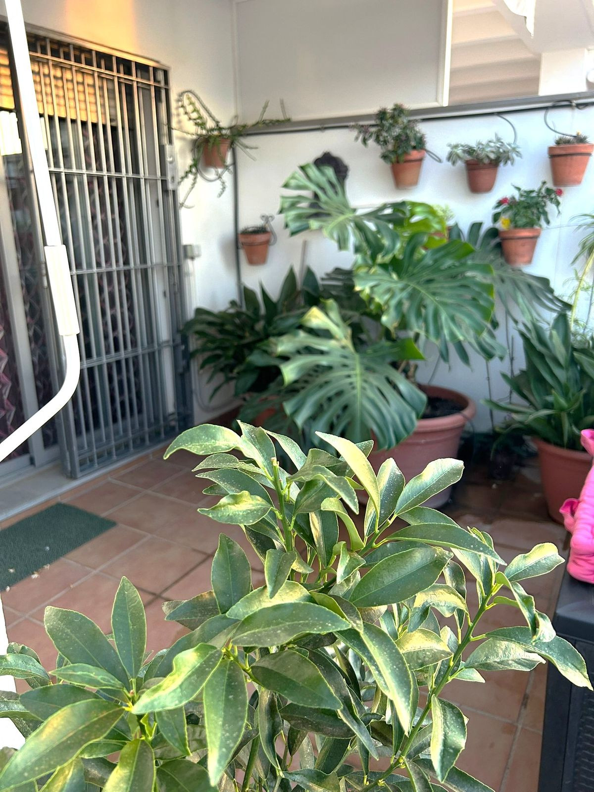 d66ee97874d341c76ca5719482e77eef - 36