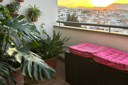 d66ee97874d341c76ca5719482e77eef - 37