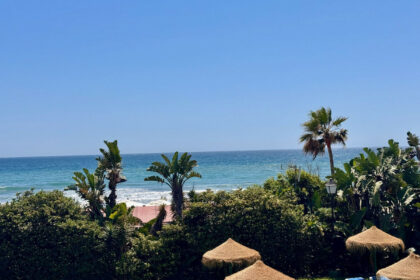 d80c9dbdbabbd0f62a9404344e2ef955 - 29