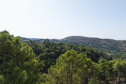 d9e807dbc5aaf6c700b54ff4bab0ad40 - 13