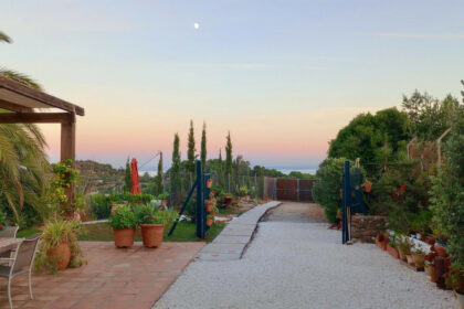 dad17584b0affa06d618078252a90fc6 - 14