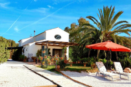 dad17584b0affa06d618078252a90fc6 - 16