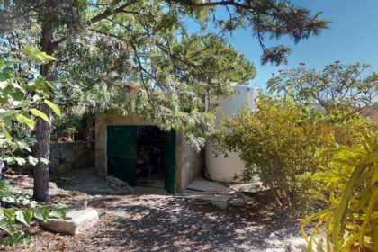 dbbcca3582682a9db7f469b7ed2e5a74 - 46