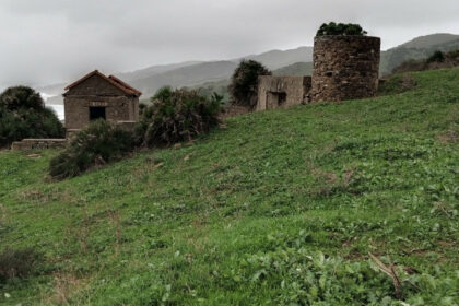 dc02725c19b93e646693b5ed95628ce6 - 13