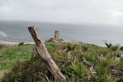 dc02725c19b93e646693b5ed95628ce6 - 14