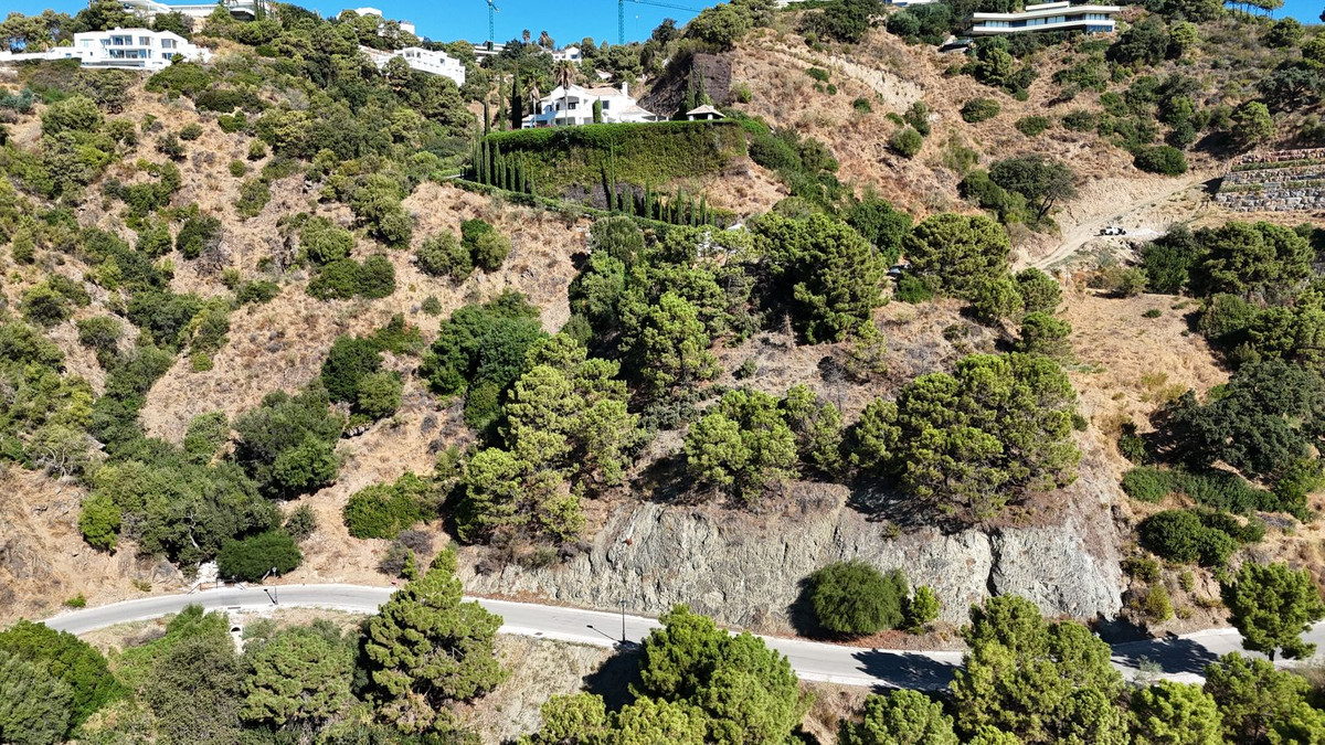 df48601558b979ec9fe4f7f0cf0a27fe - 10