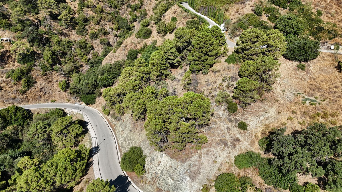 df48601558b979ec9fe4f7f0cf0a27fe - 11