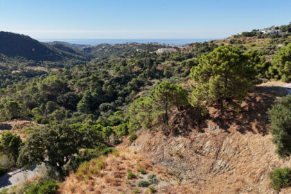 df48601558b979ec9fe4f7f0cf0a27fe - 3