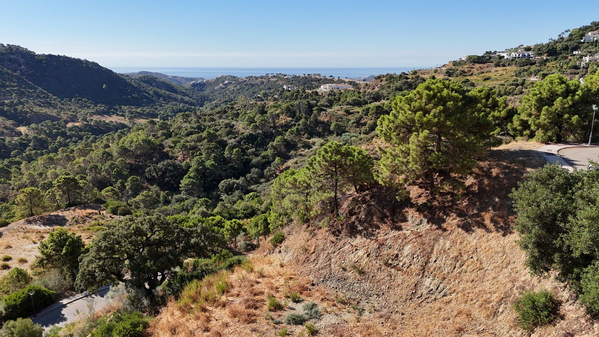 df48601558b979ec9fe4f7f0cf0a27fe - 3