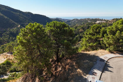 df48601558b979ec9fe4f7f0cf0a27fe - 5