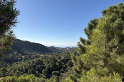 df48601558b979ec9fe4f7f0cf0a27fe - 6