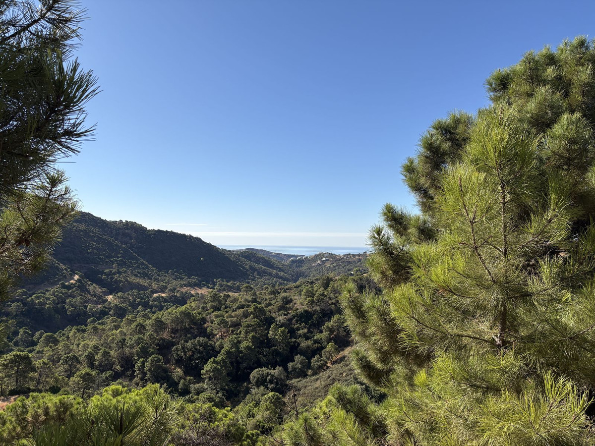 df48601558b979ec9fe4f7f0cf0a27fe - 6