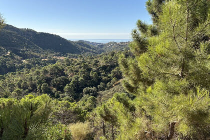 df48601558b979ec9fe4f7f0cf0a27fe - 7