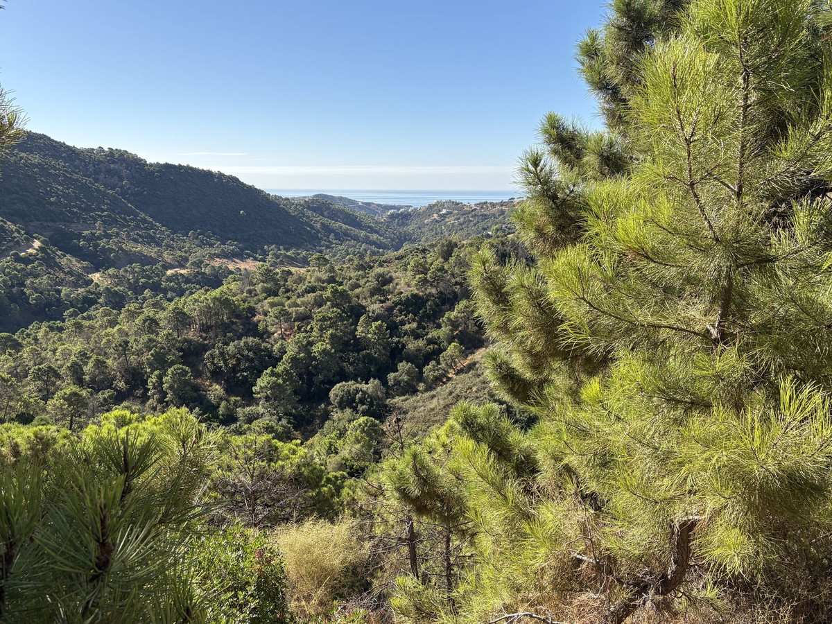 df48601558b979ec9fe4f7f0cf0a27fe - 7